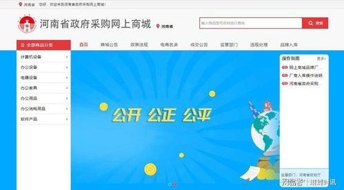 信阳市财政局市级政府采购网上商城系统API接口对接与ERP系统开发上线